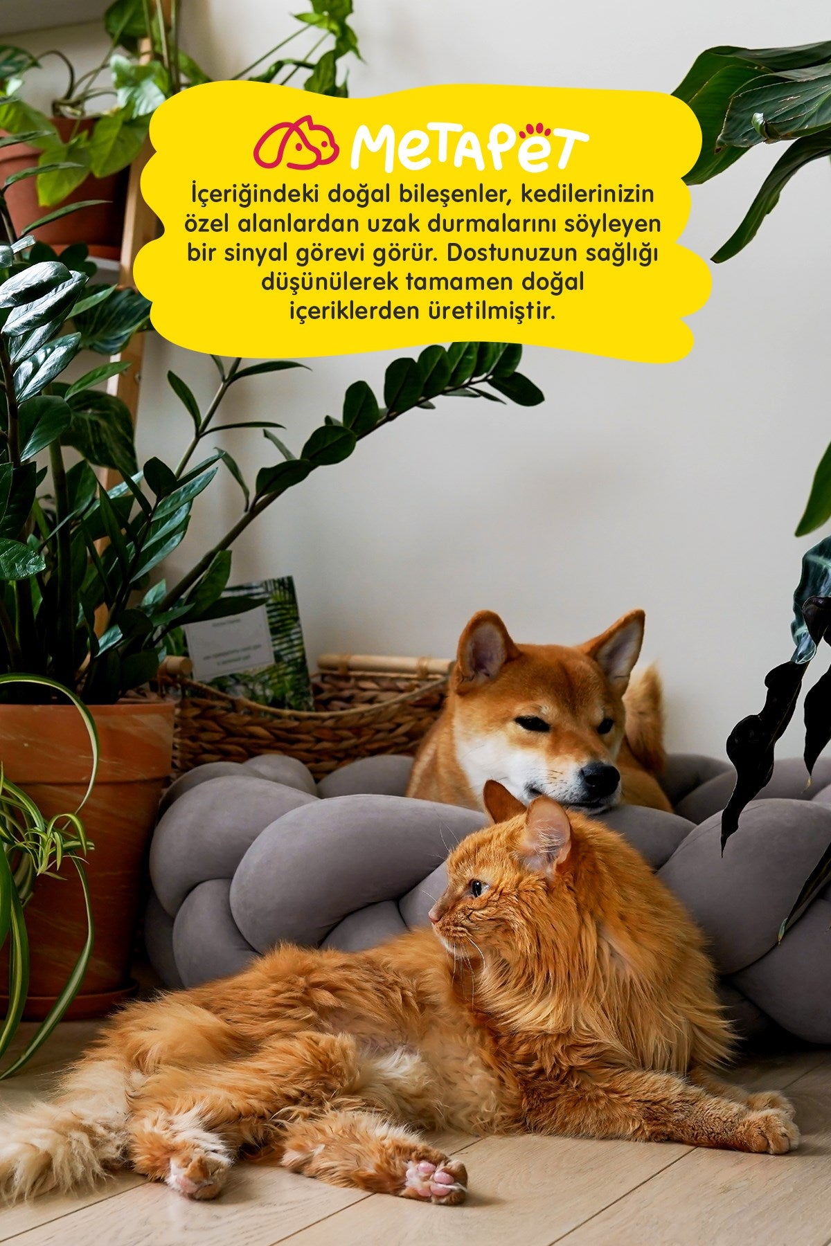 benefits