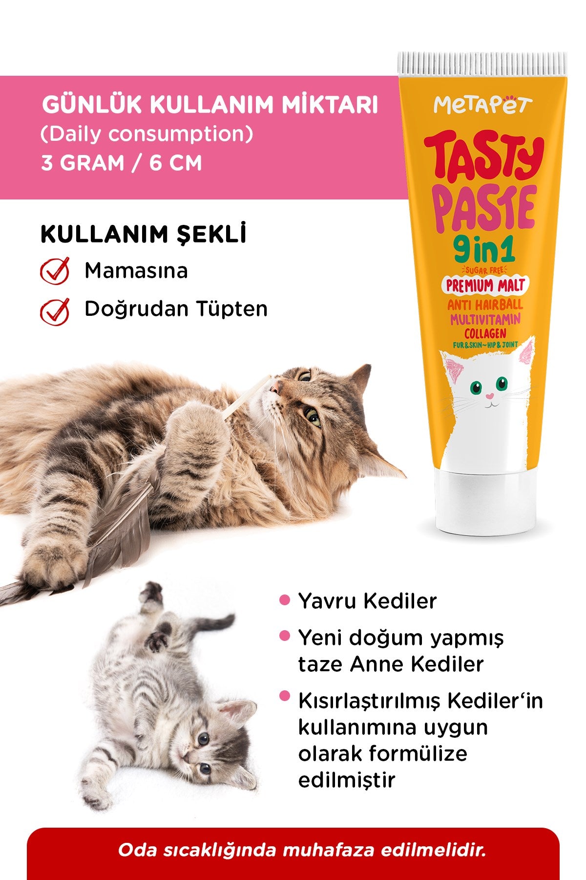 Tasty Paste usage