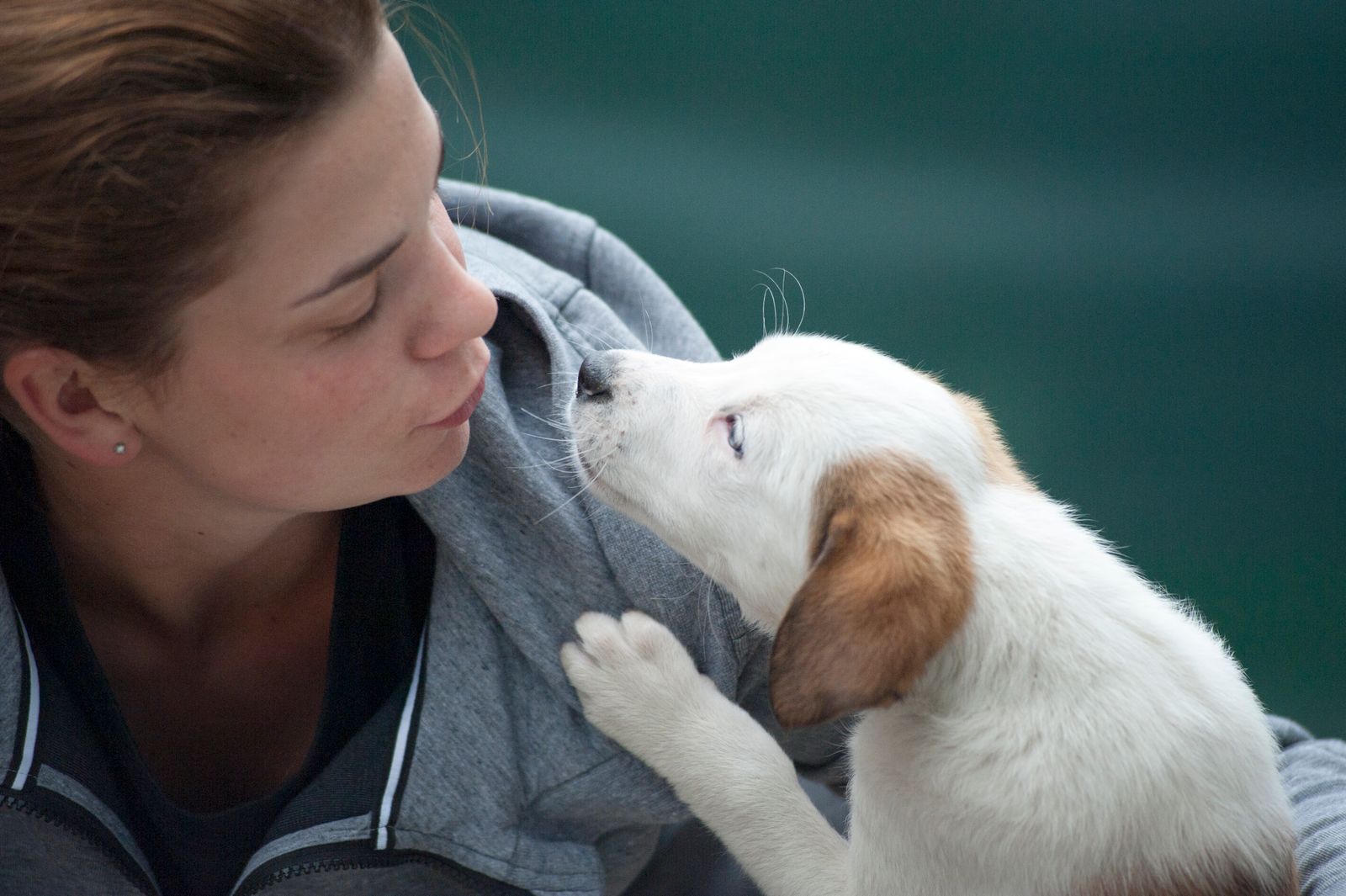 Person working at home hugging a small white dog on their shoulder