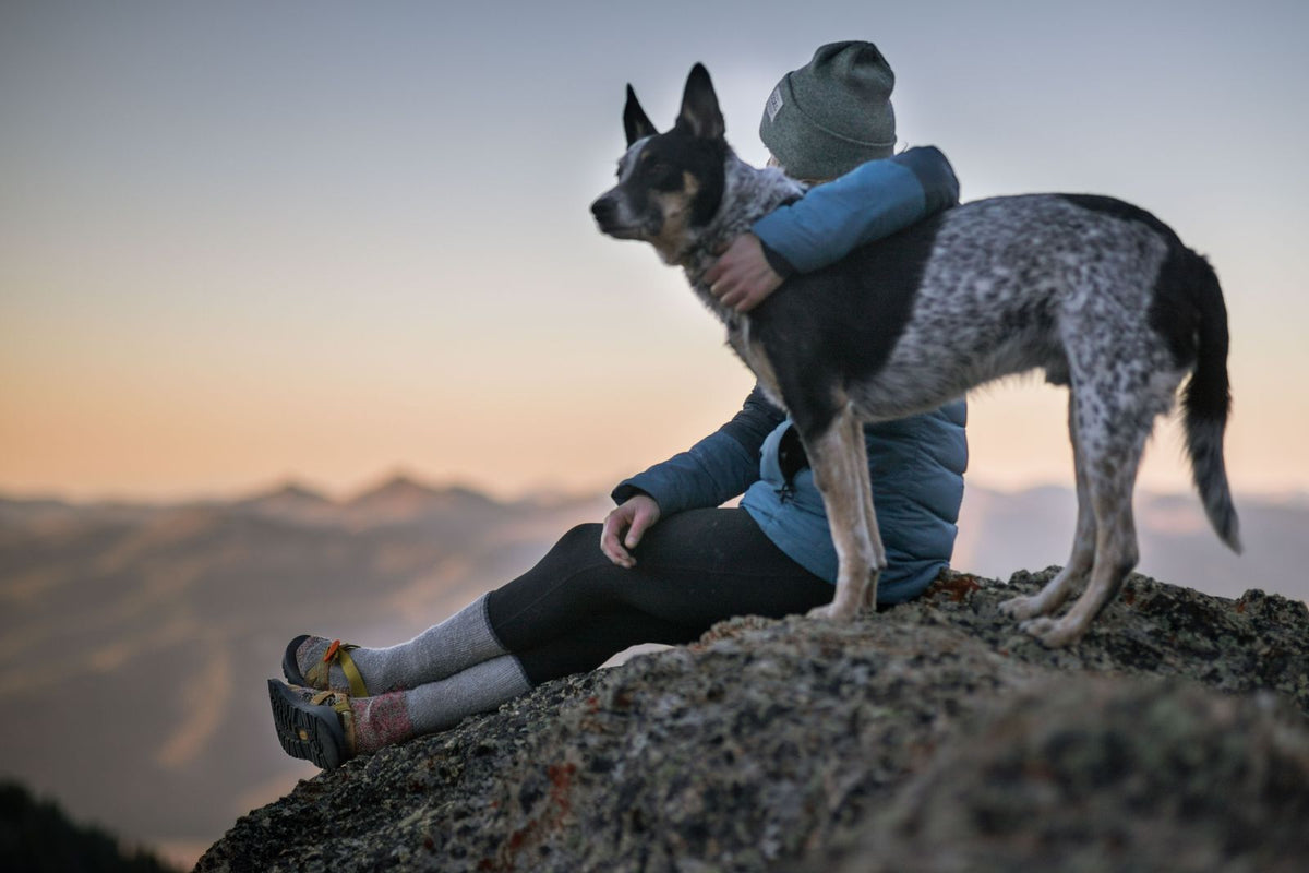 A person resting on a mountain ridge beside an alert working dog at sunset