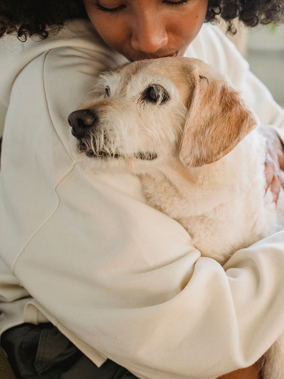 A person gently hugging a calm light-colored dog against their chest indoors