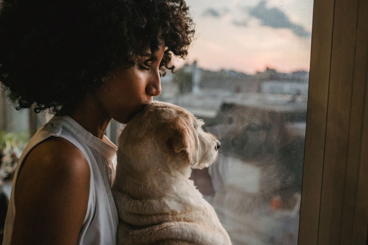 A person standing close to a light-colored dog, the two facing each other affectionately