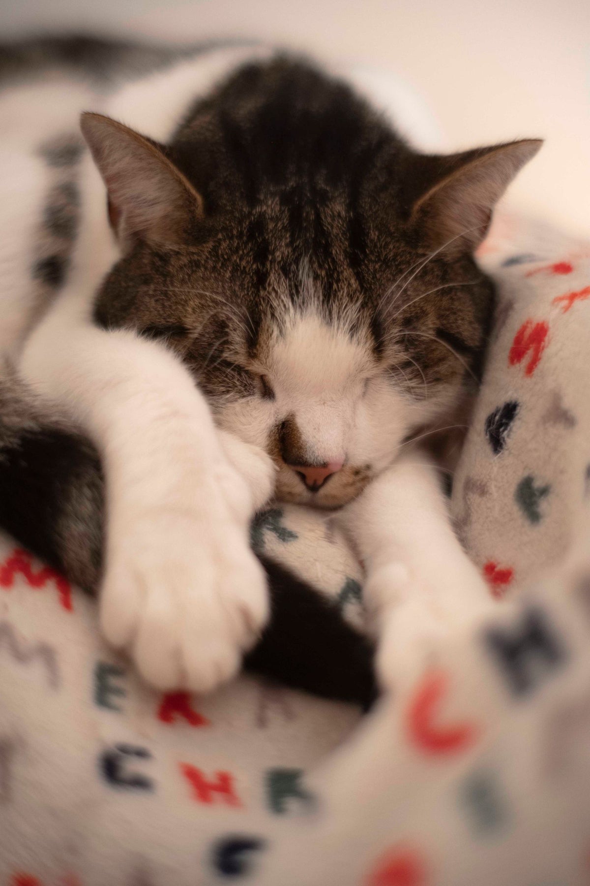 A tabby and white cat lying on a soft printed blanket