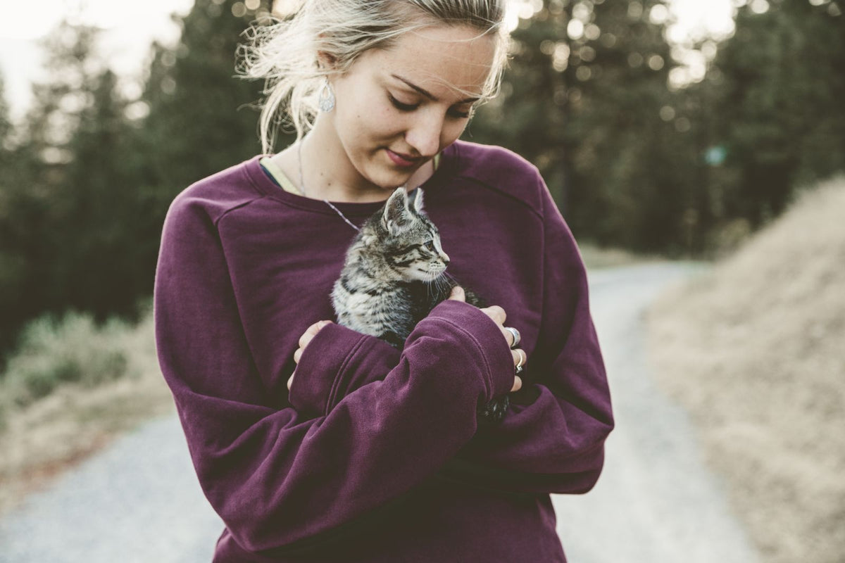 A person gently holding their cat