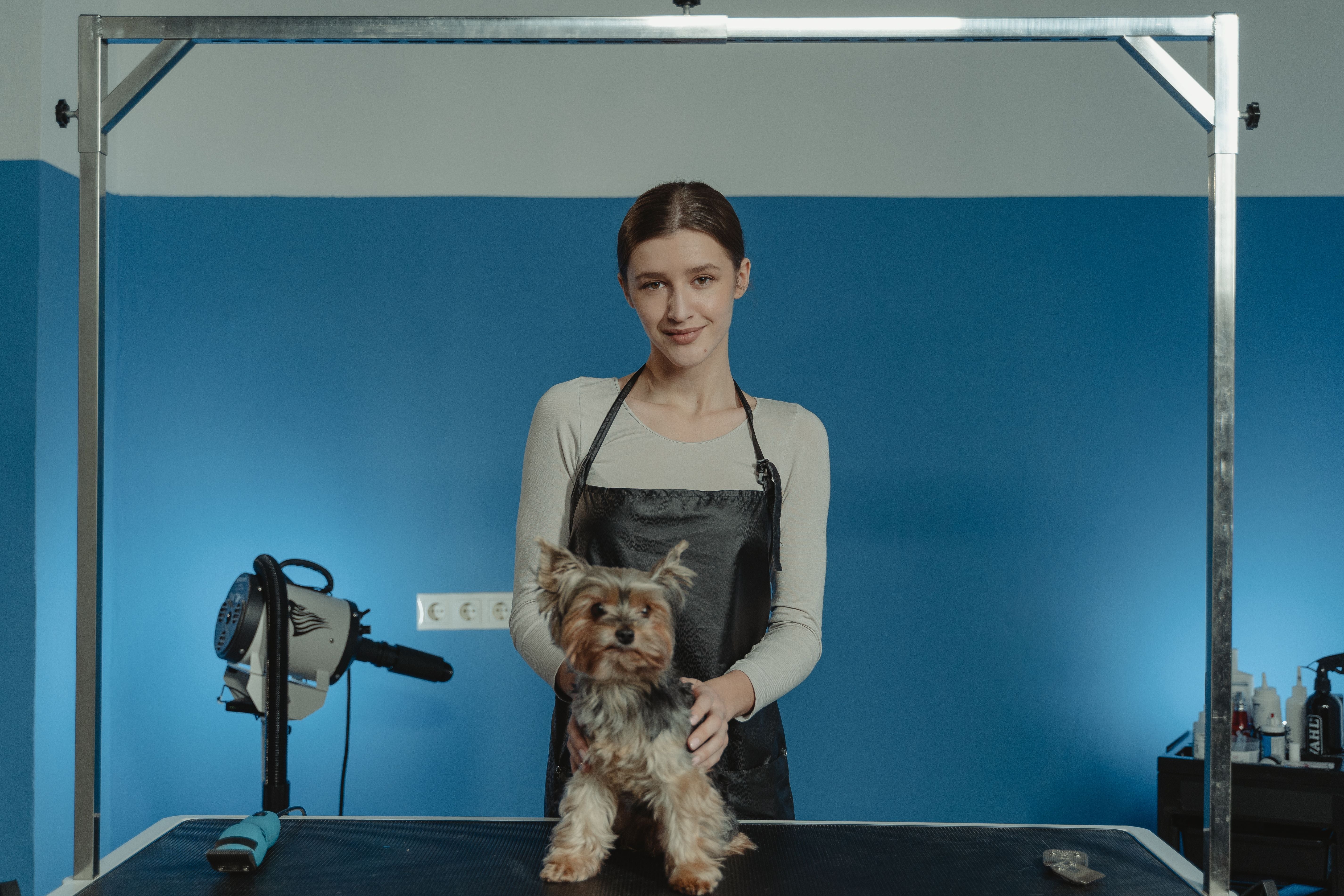 A pet owner preparing supplies for home pet care