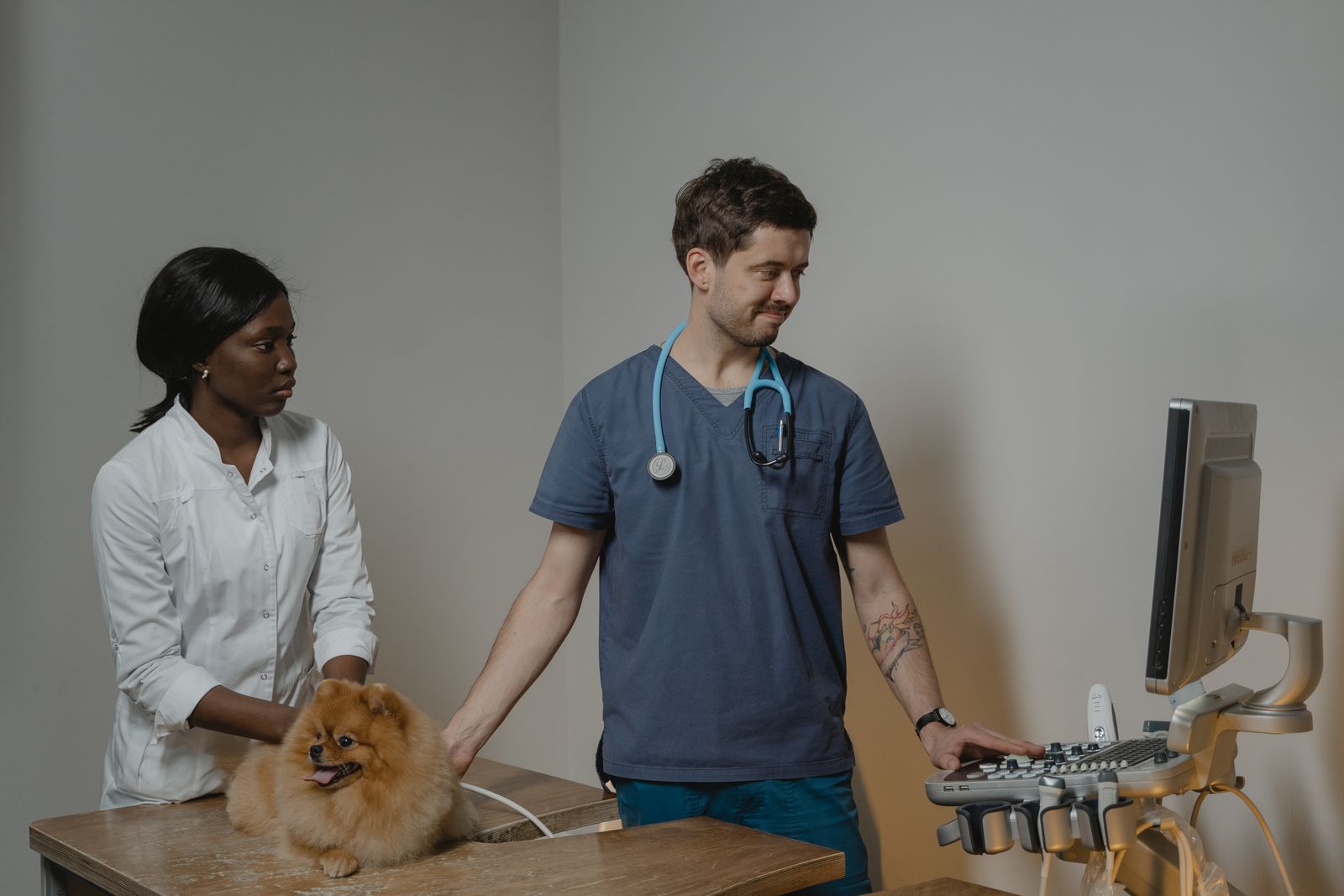 Veterinary staff reviewing diagnostic results with a pet in a clinic