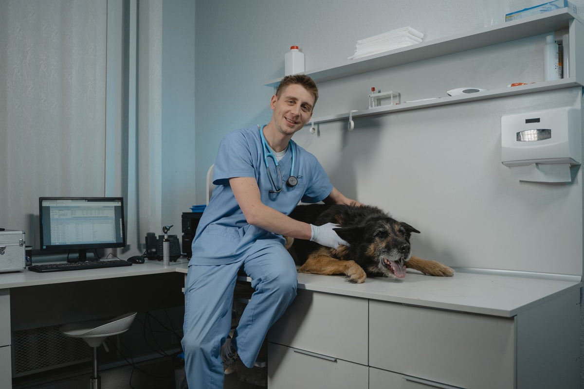 A veterinarian sitting beside a black dog on an exam table in a clinic
