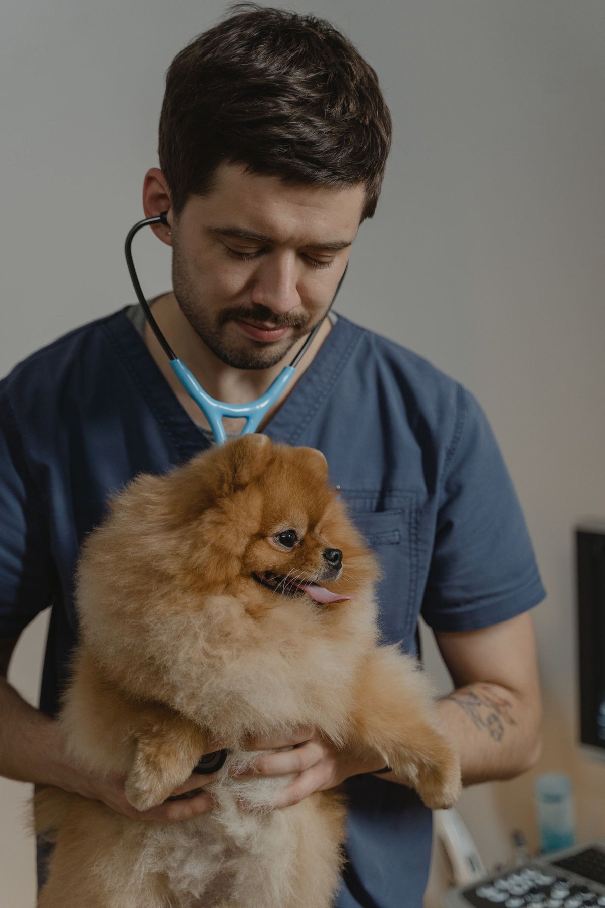A veterinarian with a stethoscope holding a fluffy small dog