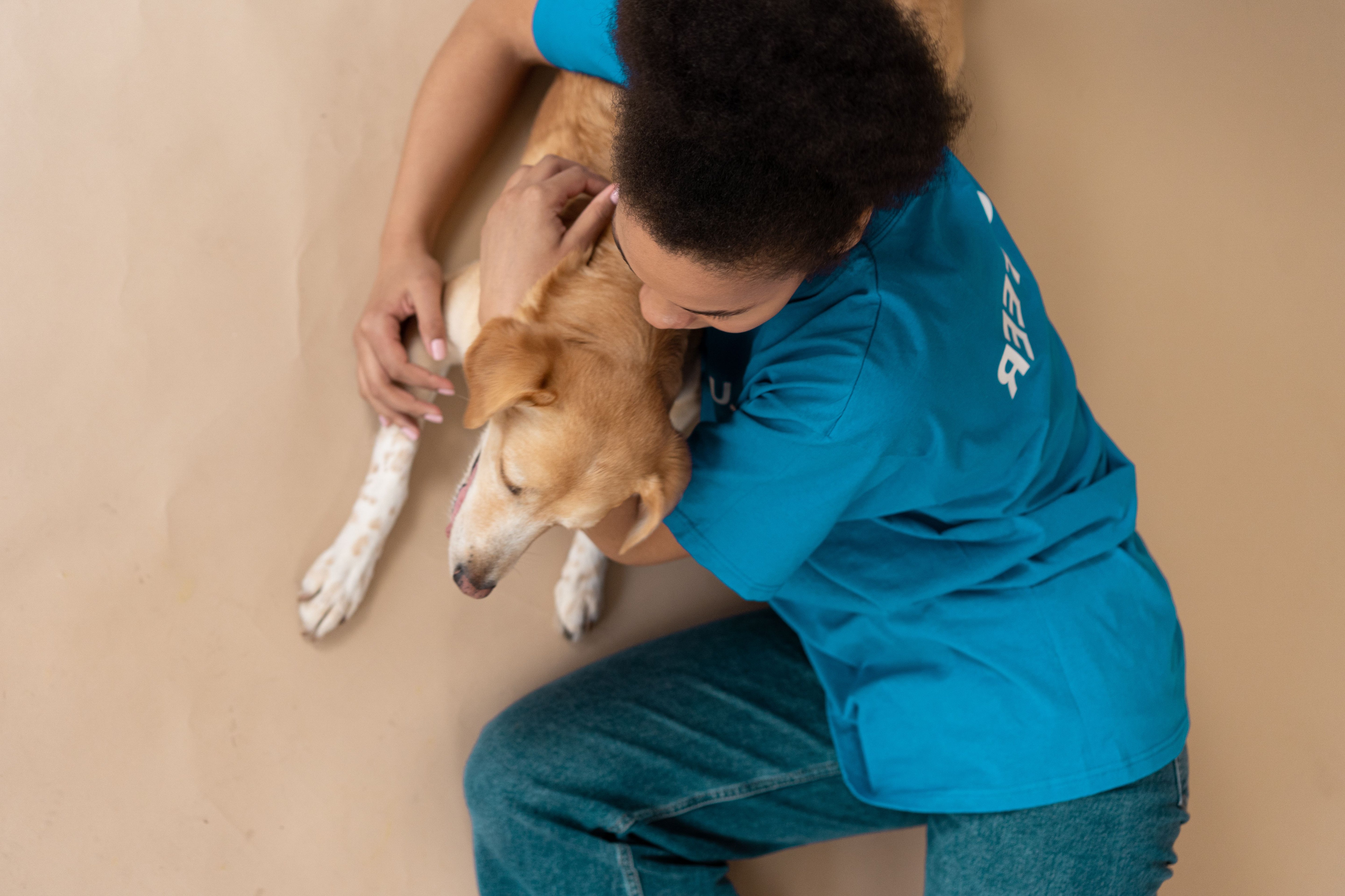 A person gently hugging a dog, representing the bond with a newly adopted rescue dog