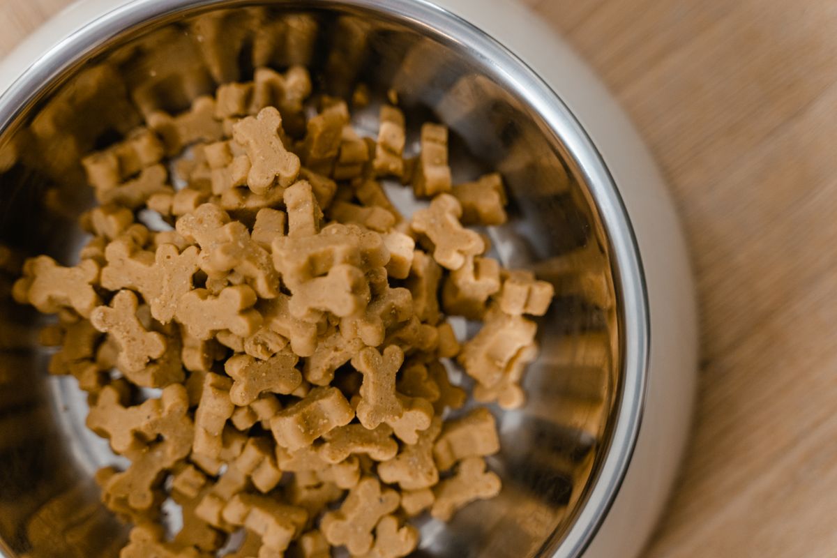 Dog food in a stainless steel bowl on a wooden surface