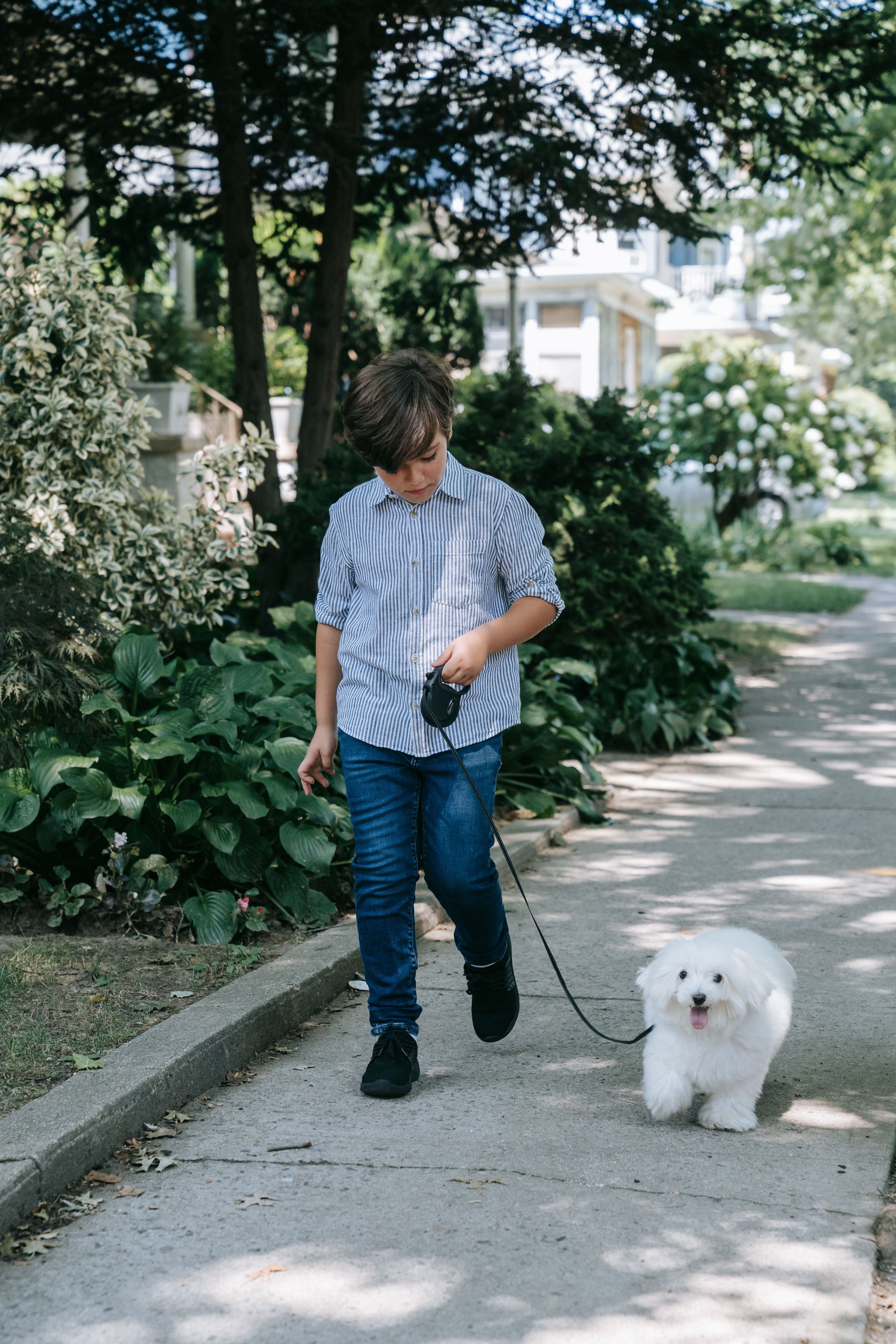 A person walking a dog on a leash outdoors in a suburban setting