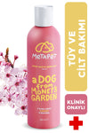 Wow Pawsome Smell woody bath shampoo for dogs