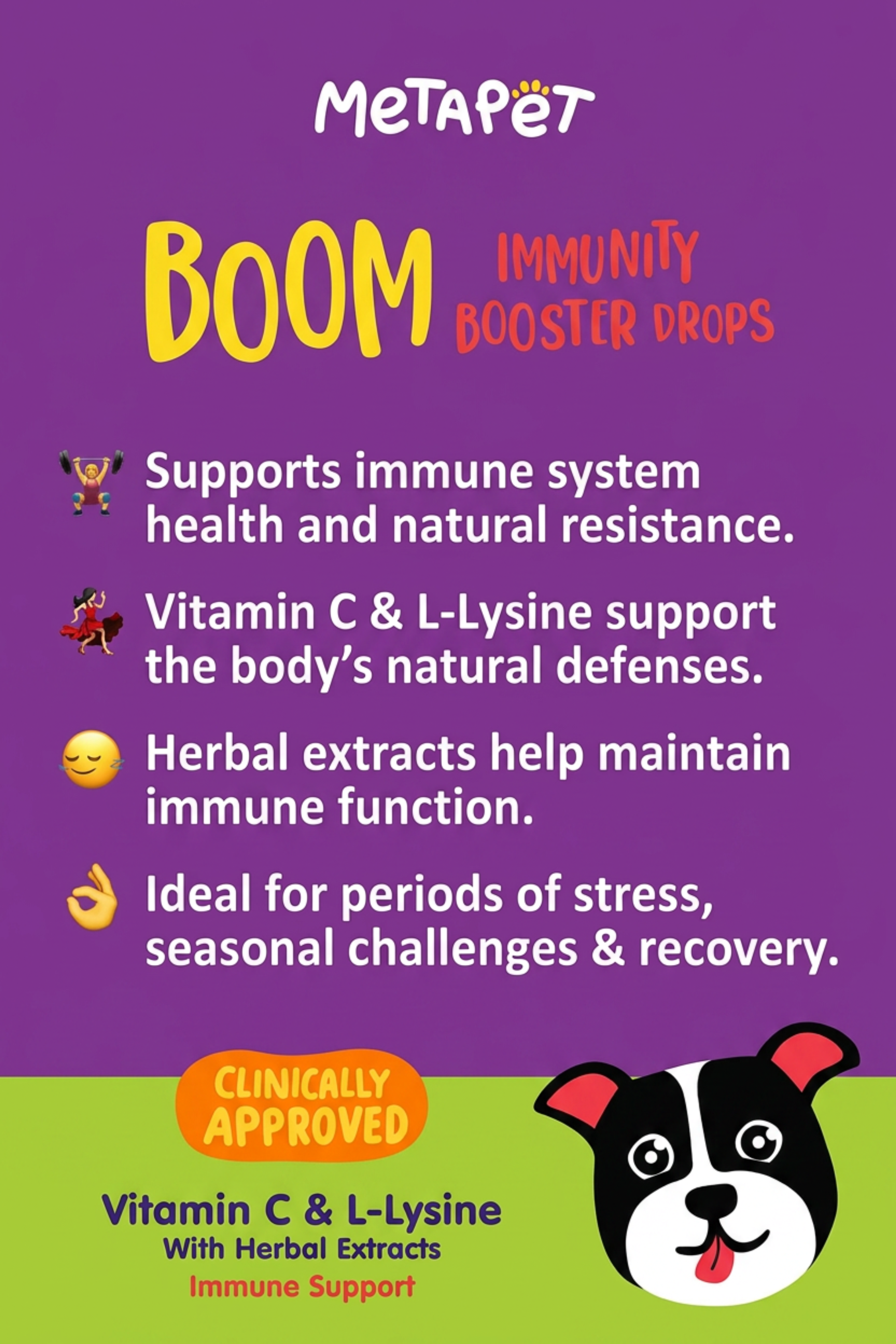 MetaPet Boom Immunity Booster — Immune Support Drops for Dogs (1.7 fl oz / 50 ml)
