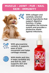 MetaPet Multivitamin Drops with D3 for Dogs (1.7 fl oz / 50 ml)