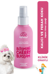 Blooming Cherry Blossom dog perfume