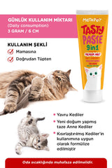 Tasty Paste usage